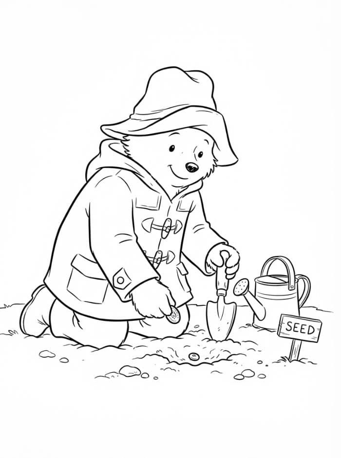 Paddington planter et frø fargelegging
