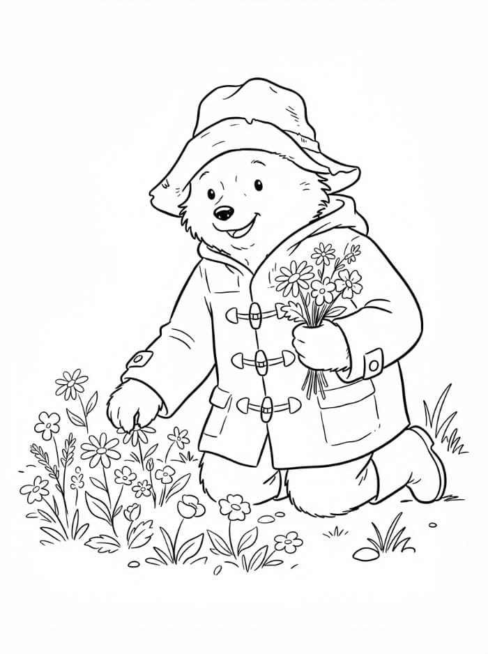 Paddington plukker blomster fargelegging