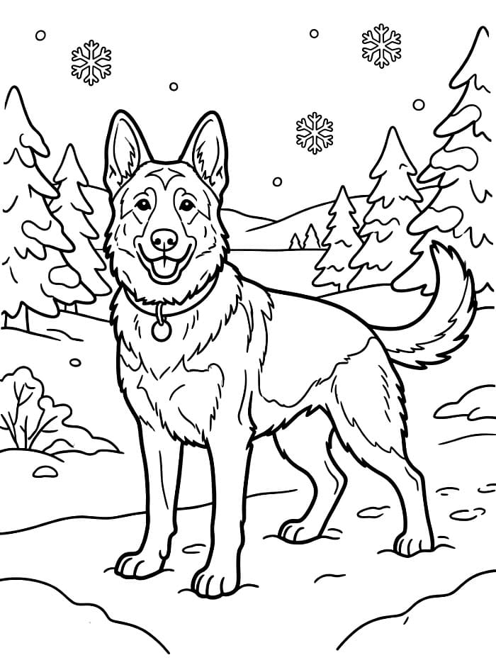 Schäferhund i snøen fargelegging