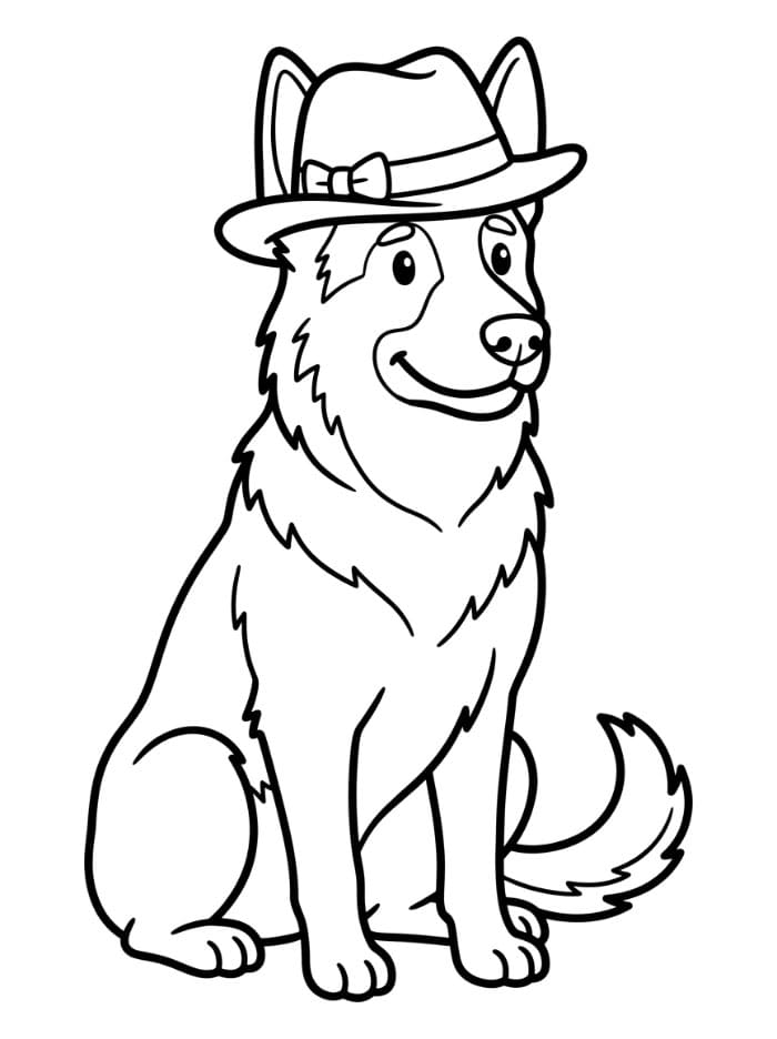 Schäferhund med hatt fargelegging