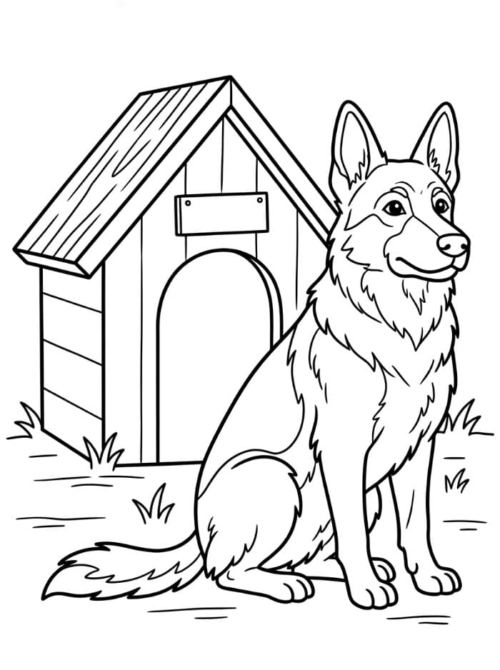 Schäferhund med hundehus fargelegging