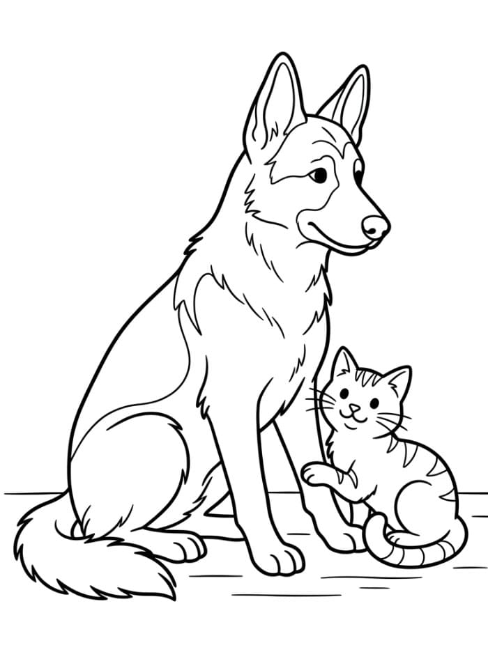 Schäferhund med katt fargelegging