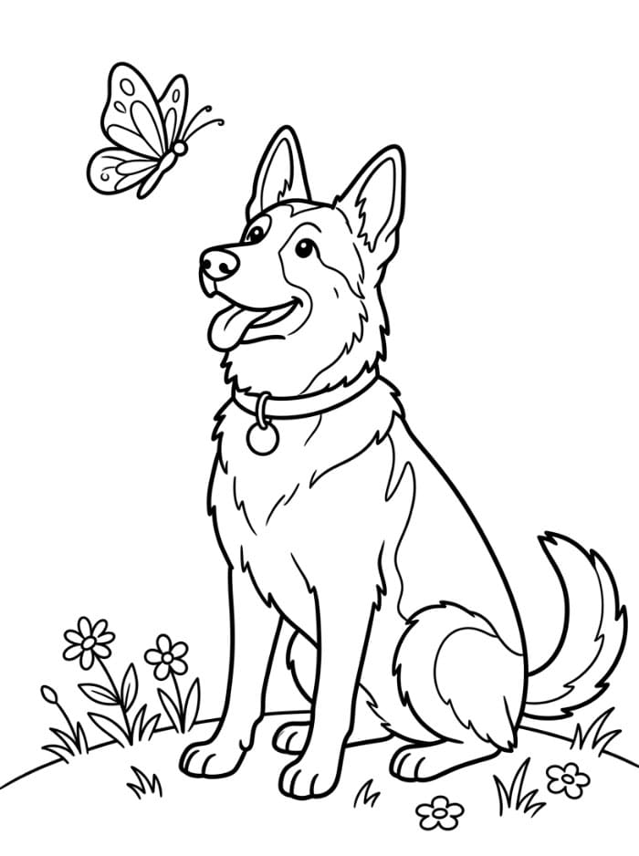 Schäferhund med sommerfugl fargelegging