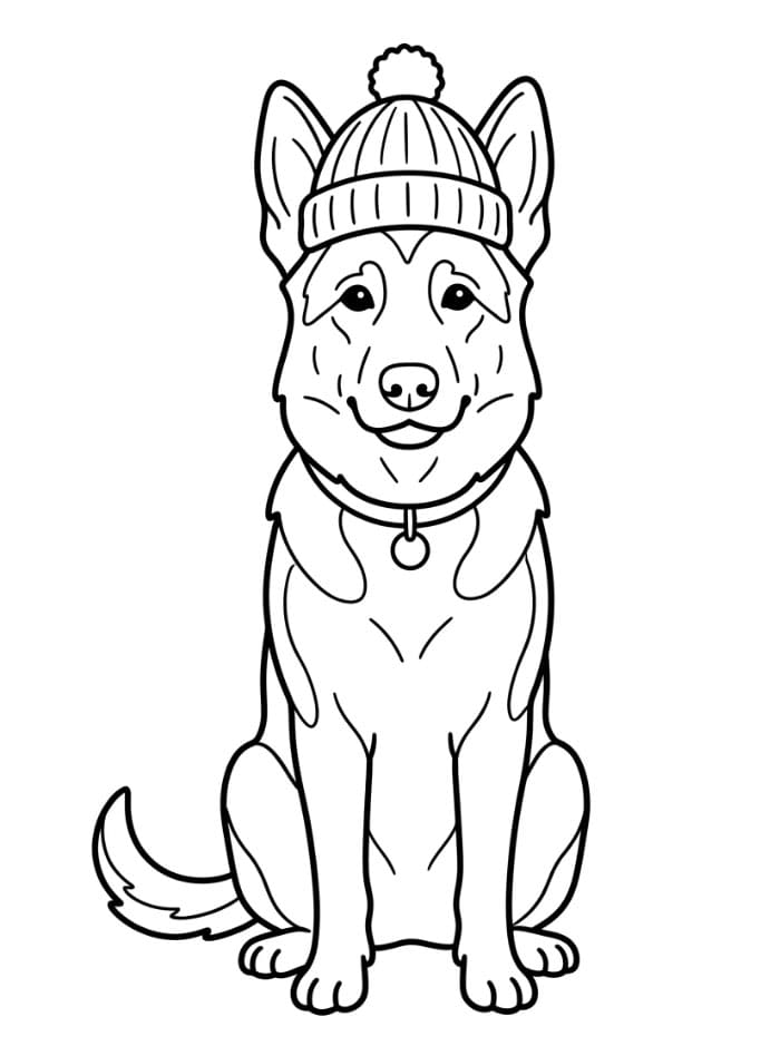 Schäferhund med vinterlue fargelegging