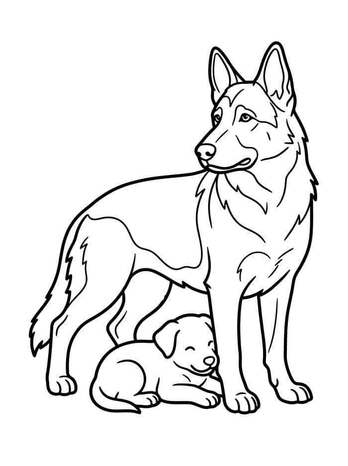 Schäferhund og valp fargelegging