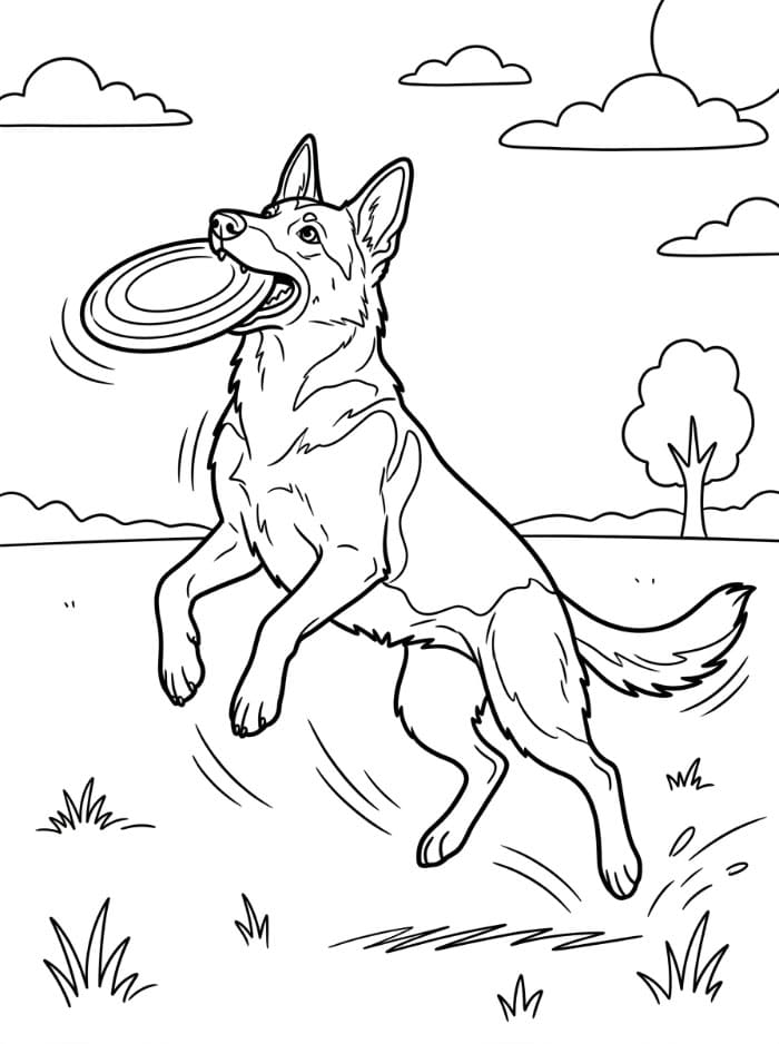 Schäferhund som fanger frisbee fargelegging