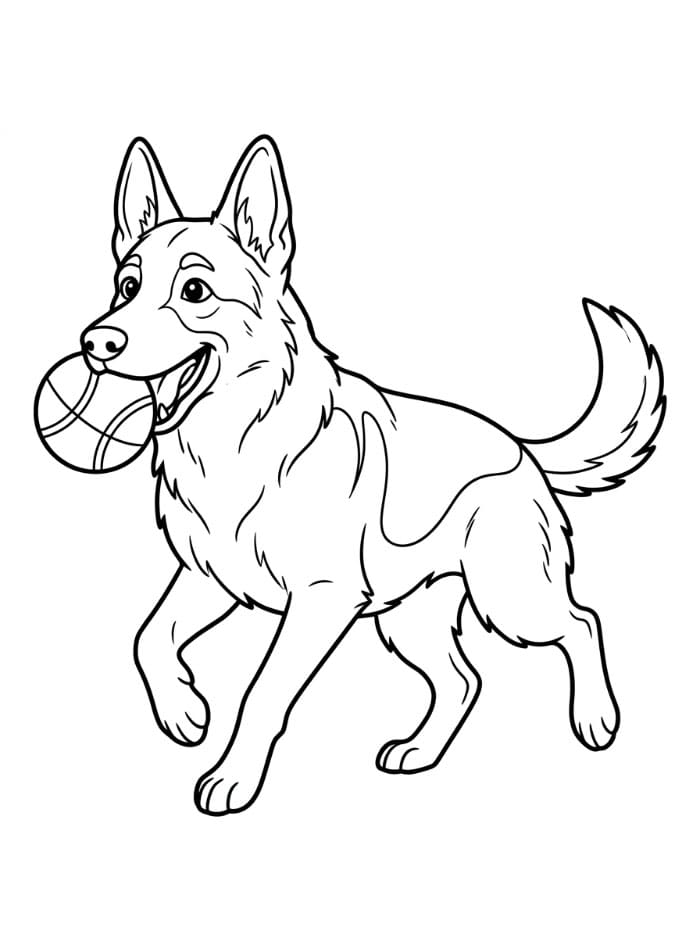 Schäferhund som leker med ball fargelegging
