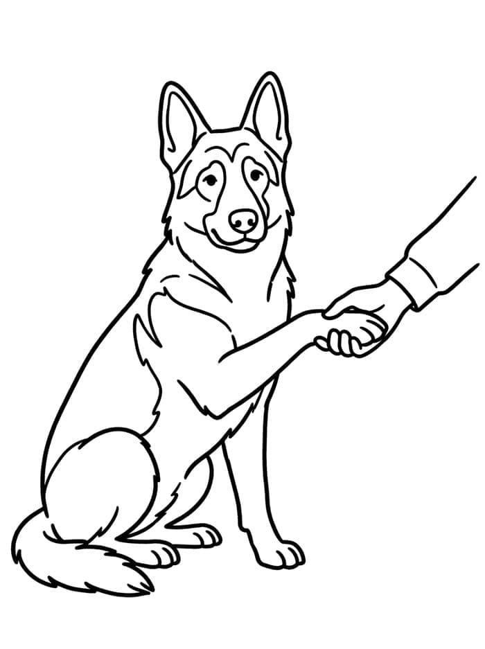 Snill schäferhund fargelegging
