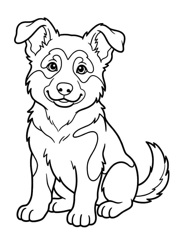 Søt schäferhund fargelegging