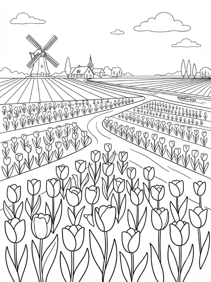 Tulipanåker i Nederland fargelegging
