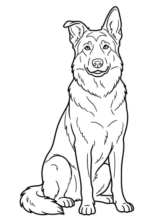 Vanlig schäferhund bilde fargelegging
