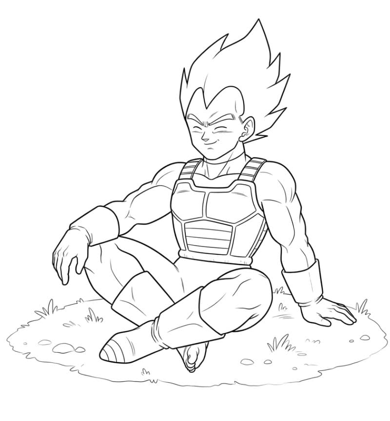 Vegeta Sitter fargelegging
