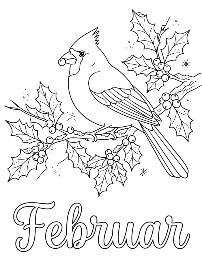 Februarkardinal fargelegging