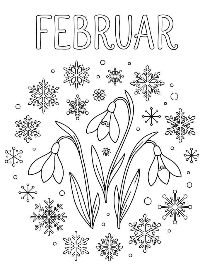 Februarsnøfnugg fargelegging