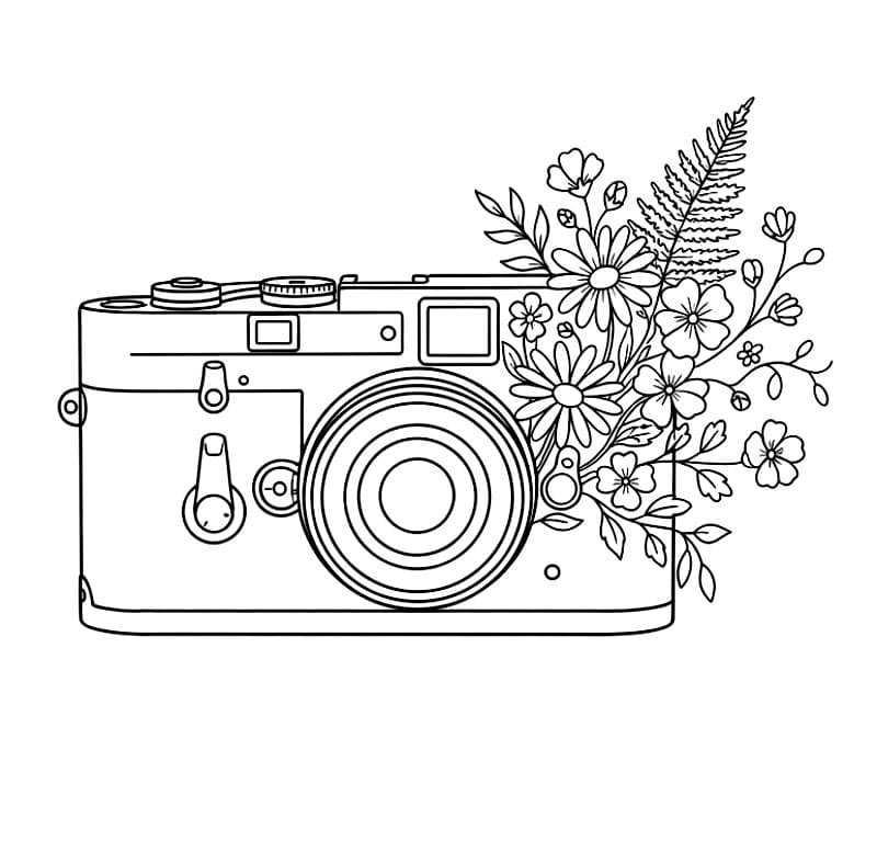 Kamera og blomst fargelegging