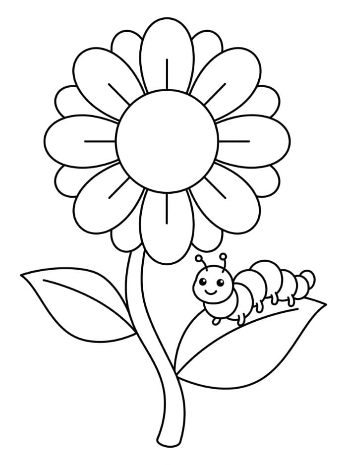 Larve på en blomst fargelegging