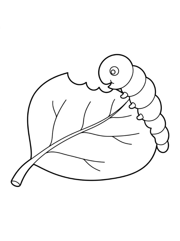 Larve som spiser et blad fargelegging