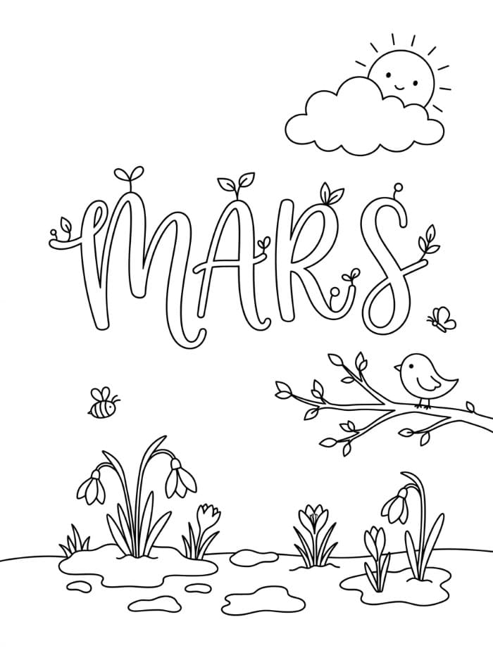 Mars generelt fargelegging