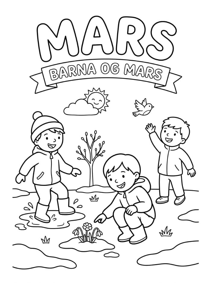 Mars Fargelegging