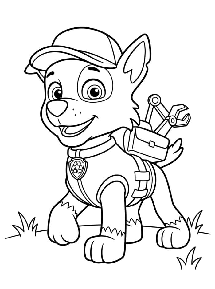 Rocky Paw Patrol Fargelegging
