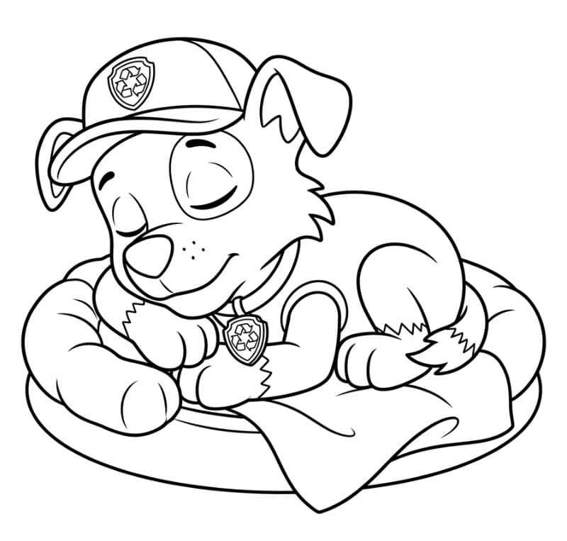 Rocky Paw Patrol sover fargelegging